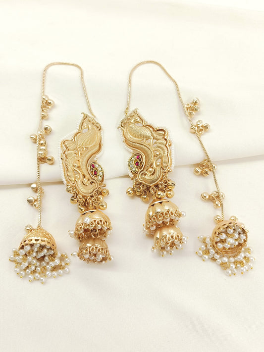 Bhanupriya Ruby Boutique Jhumki