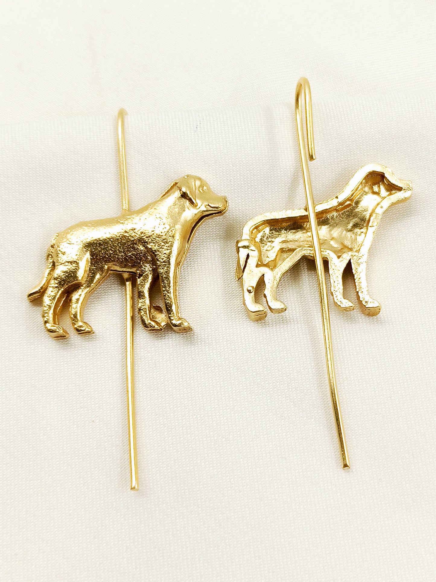 Satya Golden Men's Earring