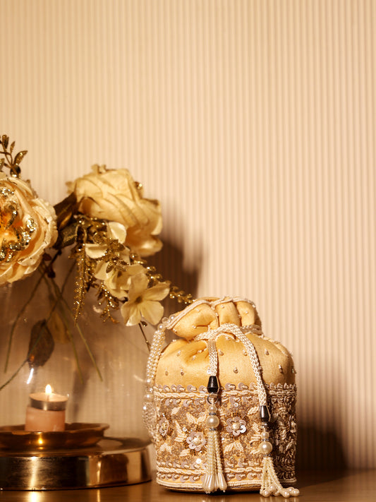 Aamani Beige Potli Bag
