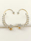 Payal White American Diamond Earrings