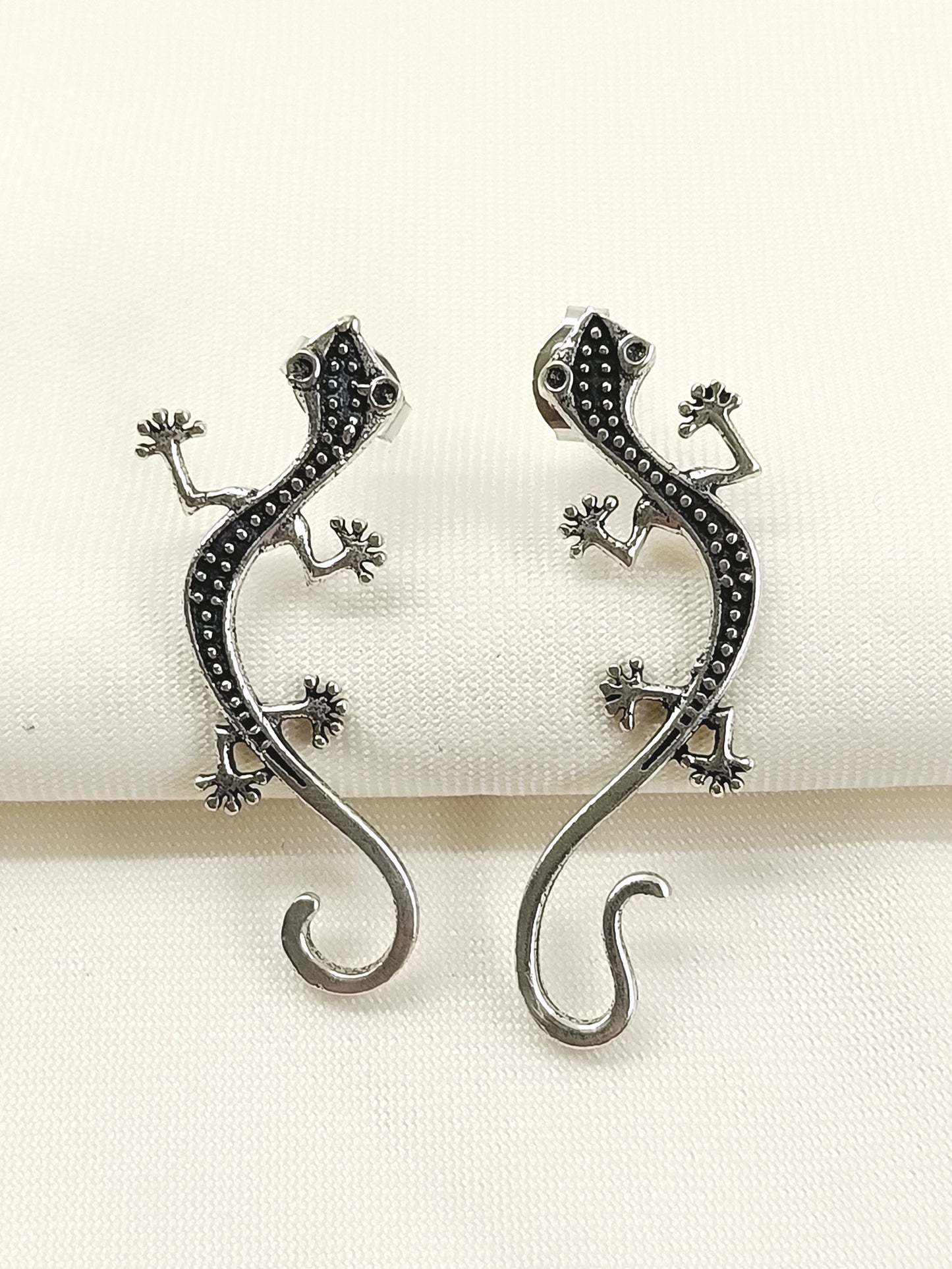 Navkansh Silver Men's Earrings