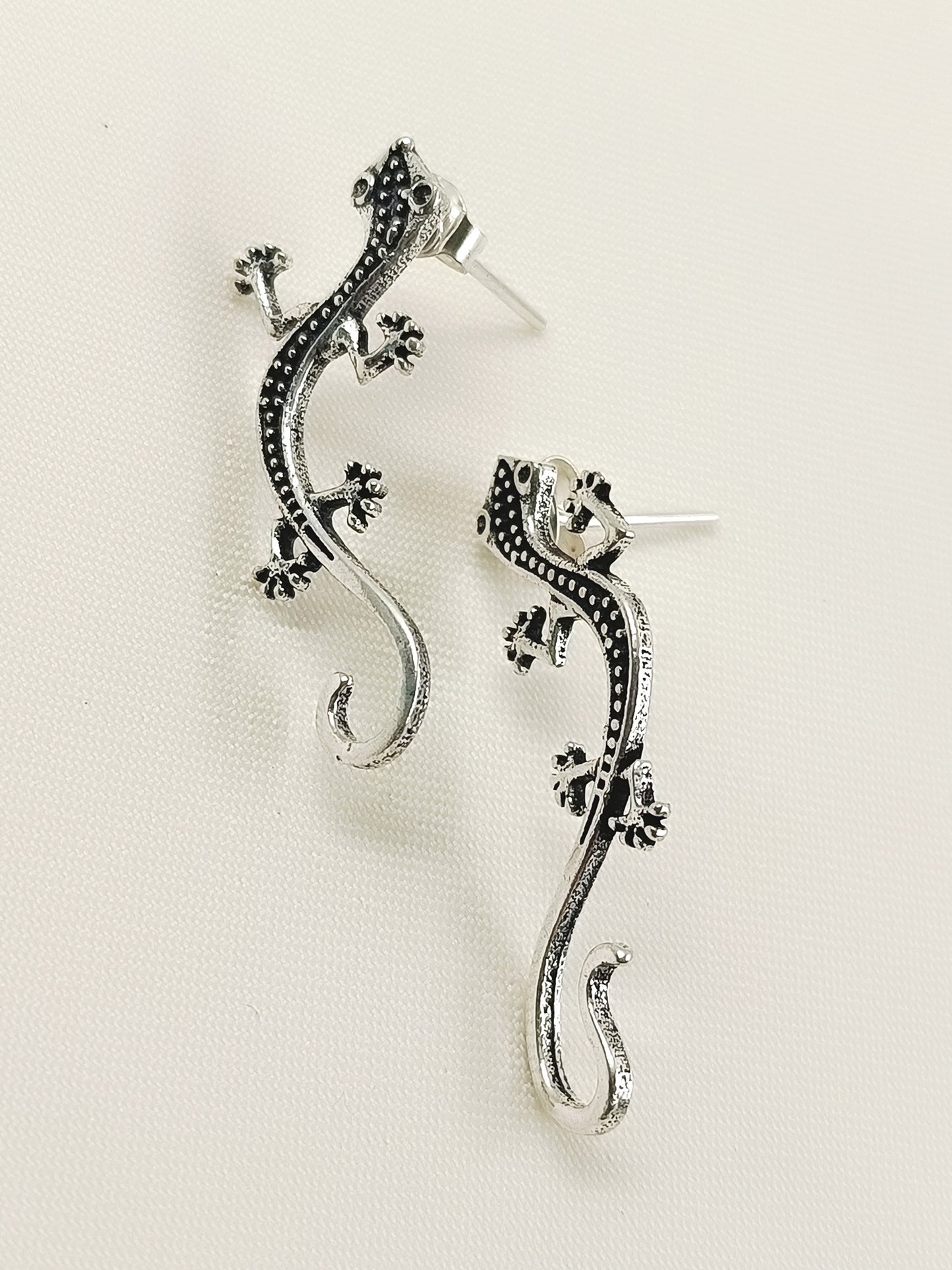 Navkansh Silver Men's Earrings