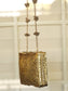 Aiva Golden Evening Clutch