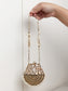 Neeya Golden Mini Metal Clutch